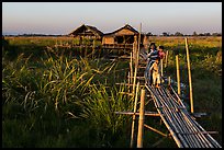 Family walking out of stilt house on precarious bridge. Inle Lake, Myanmar ( color)
