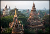 Dense array of ancient temples. Bagan, Myanmar ( color)