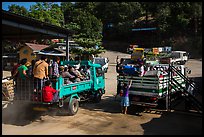Trucks carrying pilgrims to the top. Kyaiktiyo, Myanmar ( color)