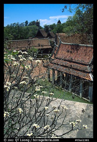 Blooming tree and rooftops. Muang Boran, Thailand (color)