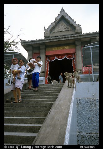 San Phra Kan (Kala shrine), invaded by monkeys. Lopburi, Thailand (color)