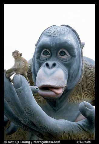 Monkey on monkey statue. Lopburi, Thailand (color)