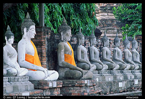 Buddha statues, swathed in sacred cloth as a sign of reverence, Wat Chai Mongkon. Ayutthaya, Thailand (color)