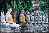 Buddha statues, swathed in sacred cloth as a sign of reverence, Wat Chai Mongkon. Ayuthaya, Thailand (color)