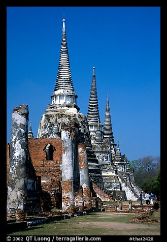 Ruined chedis. Ayuthaya, Thailand