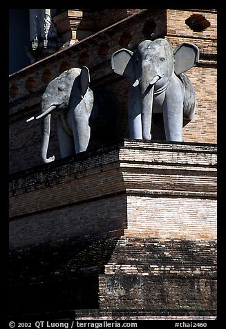 Elephants at Wat Chedi Luang. Chiang Mai, Thailand