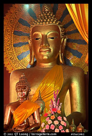 Buddha images of several sizes. Chiang Mai, Thailand (color)