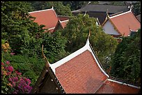 Thai-style temple rooftops emerging from trees. Bangkok, Thailand