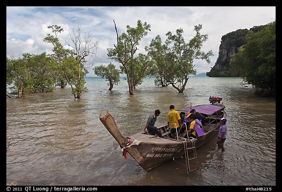 Boat boarding amongst mangroves, Ao Railay East. Krabi Province, Thailand