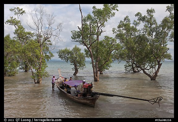 Longtail boat set to depart through mangroves, Rai Leh. Krabi Province, Thailand (color)