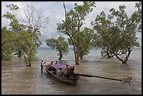 Longtail boat set to depart through mangroves, Rai Leh. Krabi Province, Thailand (color)