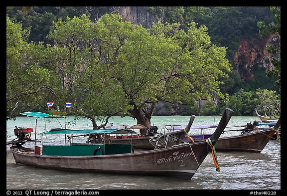 Boats, mangroves, and cliff, Rai Leh East. Krabi Province, Thailand