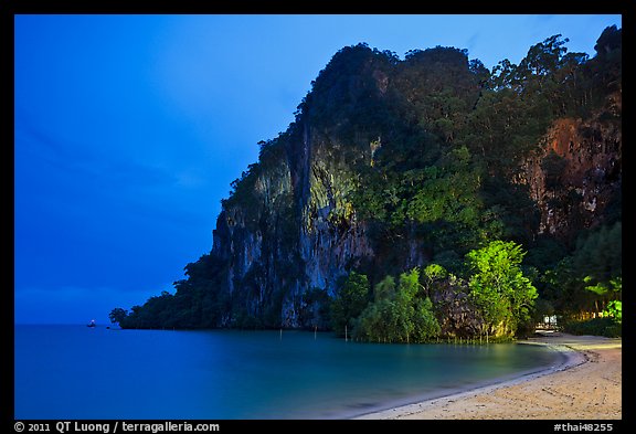 Cliffs and trees at night, Rai Leh East. Krabi Province, Thailand