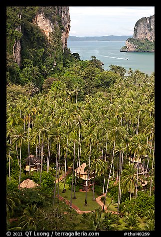 Resort huts, palm trees, and bay seen from Laem Phra Nang, Railay. Krabi Province, Thailand