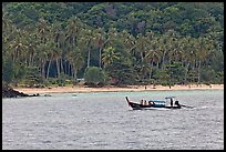 Longtail boat sailing in front of palm-fringed beach, Phi-Phi island. Krabi Province, Thailand