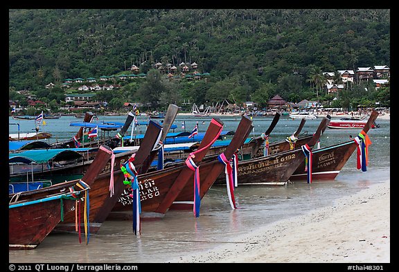 Row of long tail boats on Lo Dalam beach, Phi-Phi island. Krabi Province, Thailand (color)