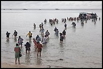 Crowd walking in water, Ko Phi-Phi island. Krabi Province, Thailand (color)