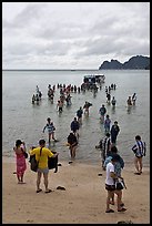 Large group of tourists disembarking from boats, Ko Phi-Phi Don. Krabi Province, Thailand (color)