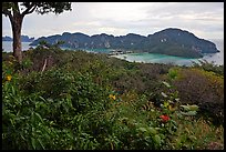 Tropical vegetation, bay, and hills, Ko Phi-Phi Don. Krabi Province, Thailand ( color)