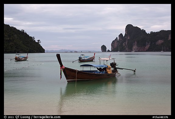 Long Tail boats moored in bay, early morning, Ko Phi Phi. Krabi Province, Thailand (color)
