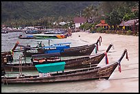 Long tail boats Tonsai beach and village, Ko Phi Phi. Krabi Province, Thailand (color)
