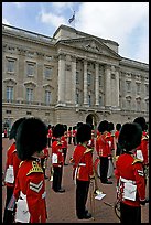 Musicians of the guard during the guard mounting in front of Buckingham Palace. London, England, United Kingdom ( color)