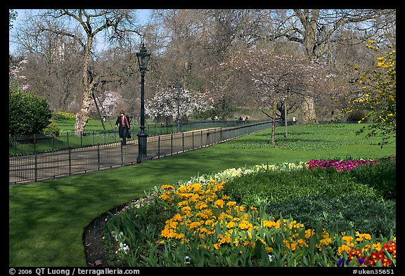 Businessman walking in  Saint James Park amongst flowers. London, England, United Kingdom