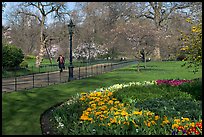 Businessman walking in  Saint James Park amongst flowers. London, England, United Kingdom (color)