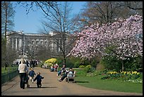 Pathway in Saint James Park in spring with Buckingham Palace in the background. London, England, United Kingdom