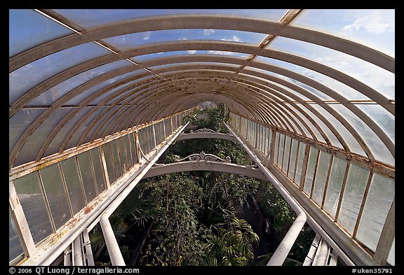 Wrought iron roof of the Palm House. Kew Royal Botanical Gardens,  London, England, United Kingdom
