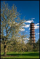 Great Pagoda by William Chambers. Kew Royal Botanical Gardens,  London, England, United Kingdom ( color)