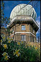 Royal Greenwich Observatory and daffodils. Greenwich, London, England, United Kingdom