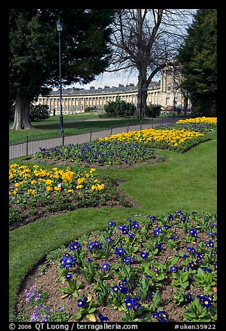 Flowers in park, with Royal Crescent in the background. Bath, Somerset, England, United Kingdom