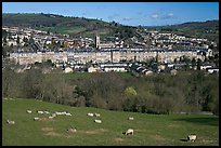 Sheep on hill, with town below. Bath, Somerset, England, United Kingdom