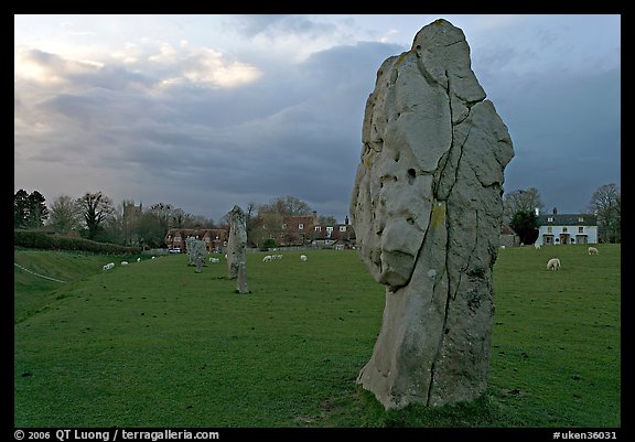 Circle of standing stones in pasture, Avebury, Wiltshire. England, United Kingdom