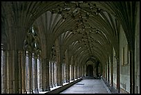 Great Cloister gallery, Canterbury Cathedral. Canterbury,  Kent, England, United Kingdom (color)