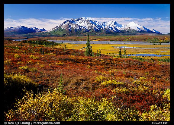 Tundra and snowy mountains. Alaska, USA