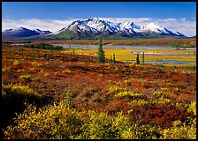Tundra and snowy mountains. Alaska, USA ( color)