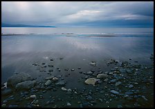 Pebbles, beach, and Katchemak Bay. Homer, Alaska, USA ( color)
