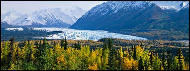 Autumn landscape with glacier. Alaska, USA (Panoramic color)