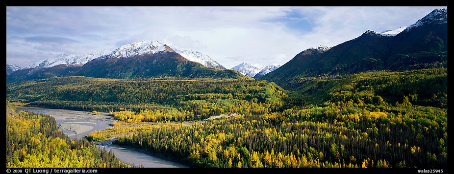 Autumn landscape with river, aspen forest, and snowy mountains. Alaska, USA