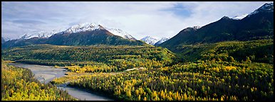 Autumn landscape with river, aspen forest, and snowy mountains. Alaska, USA (Panoramic color)
