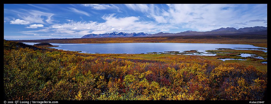 Tundra landscape with lake in autumn. Alaska, USA