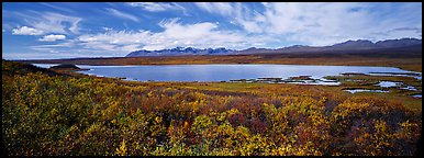 Tundra landscape with lake in autumn. Alaska, USA (Panoramic color)