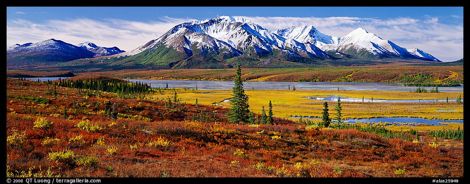 Tundra autumn scenery with snowy peaks. Alaska, USA