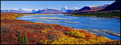 Tundra autumn scenery with wide river and mountains. Alaska, USA (Panoramic color)