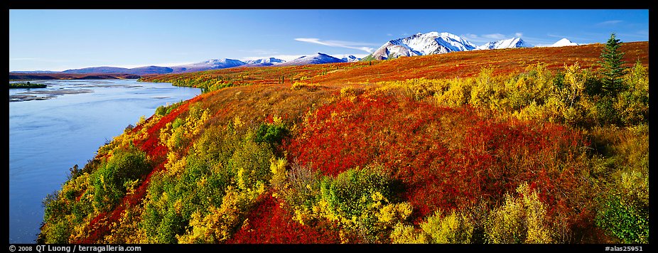 Tundra fall scenery with bright colors and river. Alaska, USA