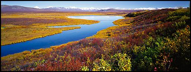 Tundra, lake, and mountains in autumn. Alaska, USA (Panoramic color)