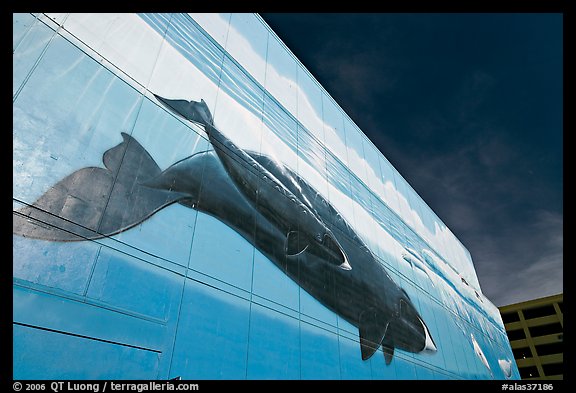 Outdoor wall mural with whale. Anchorage, Alaska, USA (color)