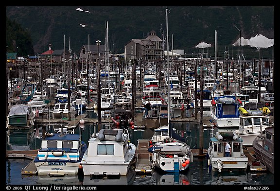 Small boat harbor. Whittier, Alaska, USA